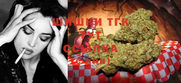 шишки Алзамай
