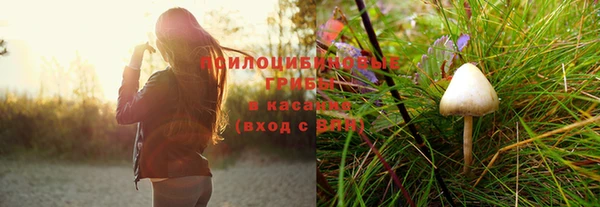 дживик Алексин