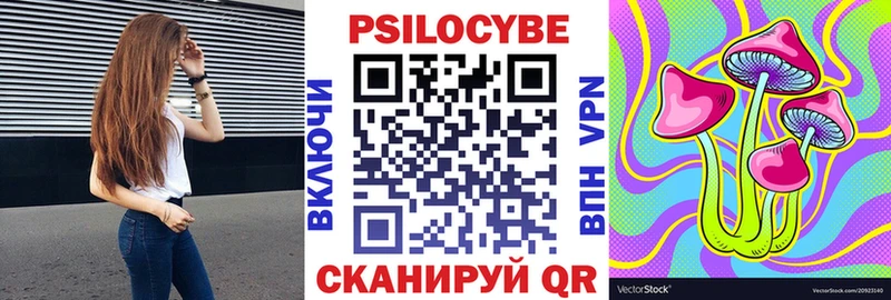 Псилоцибиновые грибы мицелий  KRAKEN tor  Пласт  магазин   